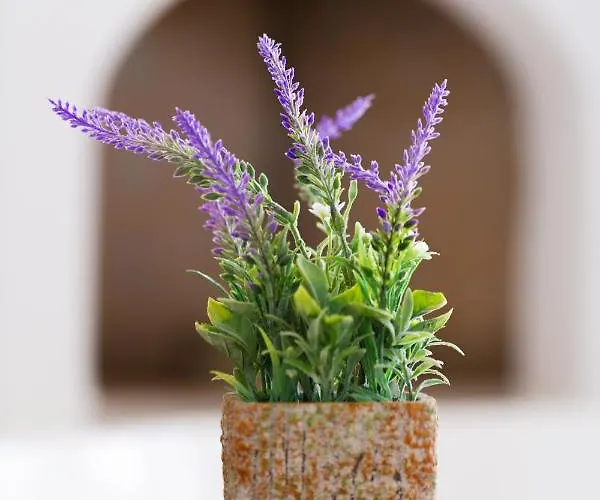 Isalos Naxos * Naxos City