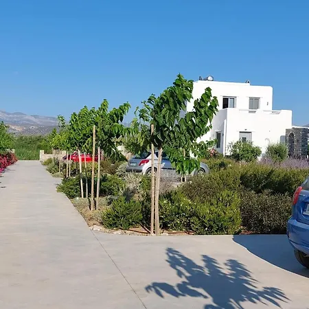 Isalos Naxos Βίλα *